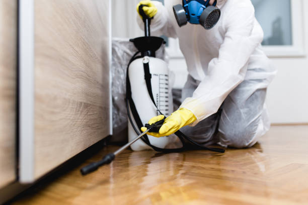 Best Flea Control Services  in Laingsburg, MI