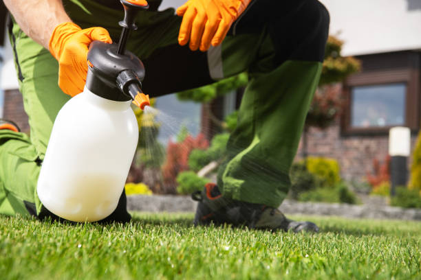 Best Termite Control Services  in Laingsburg, MI