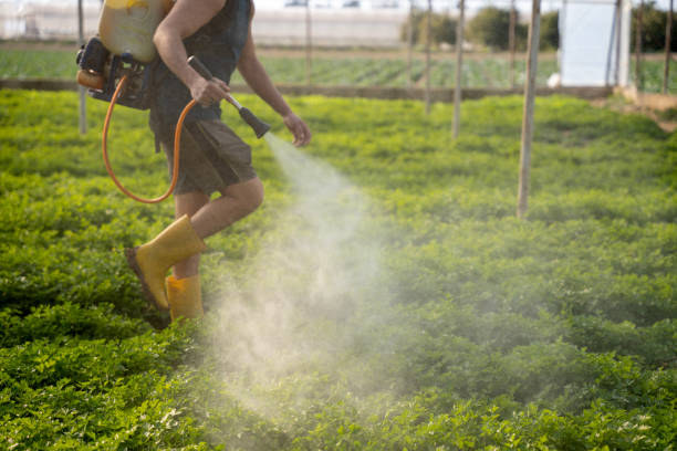 Best Exterminator Services  in Laingsburg, MI