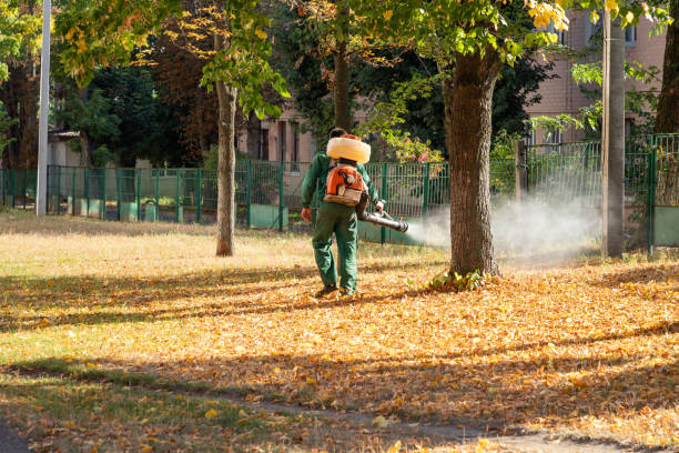 Best Best Pest Control Companies  in Laingsburg, MI